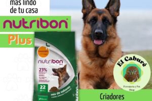 El Caburé Forrajeria y Pet Shop