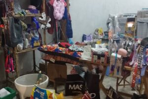 El Club de las Mascotas