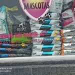 El club de las mascotas