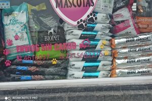 El club de las mascotas