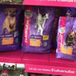 El club de las mascotas