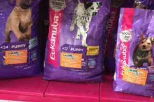 El club de las mascotas