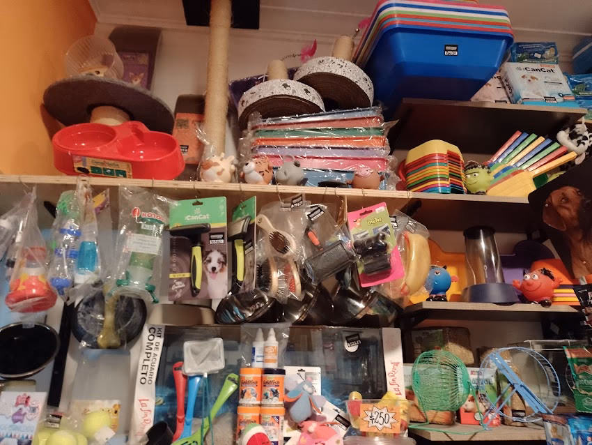 El club de tus mascotas