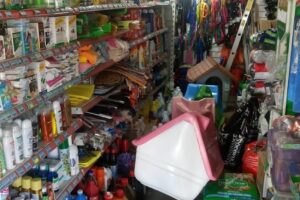 El Duende de las Mascotas