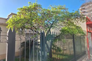 El Gato Negro Pet Food