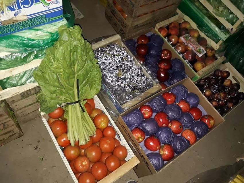 El gigante del San Roque