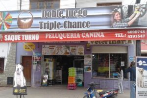 El Griego Pet Shop