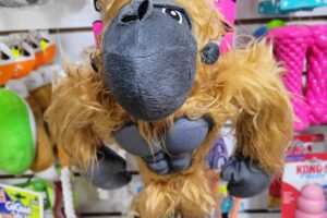 El Hogar De Tu Mascota