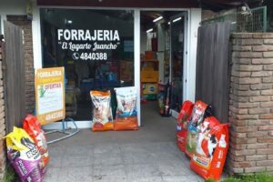 El Lagarto Juancho Jcvb