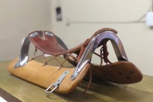 El Molino Tienda para Mascotas