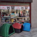 El Palacio De Las Mascotas