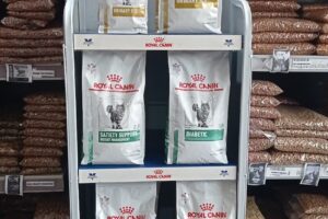 El Palacio De Las Mascotas