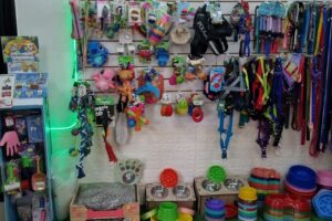 El Perro Mueve La Cola