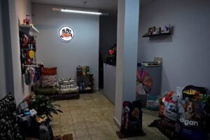 El Pet Shop de Adrián Acosta