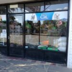 El Rincón de las Mascotas