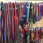 El rincón de las mascotas