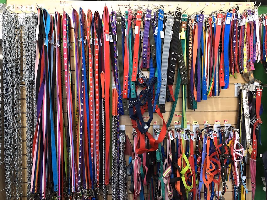 El rincón de las mascotas