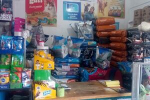 El Rincón de las Mascotas