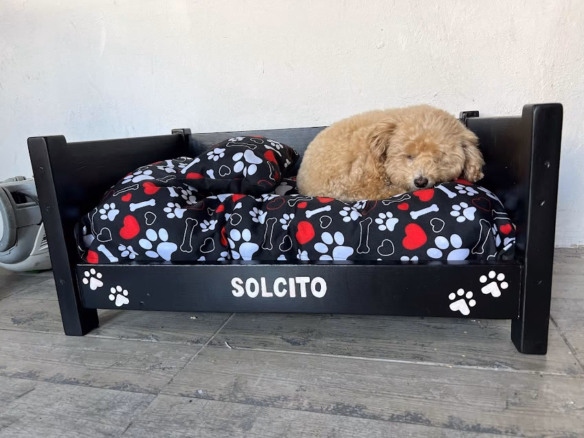 El Rincón de mí mascota