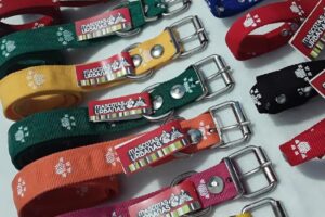 El rincon de tu mascota