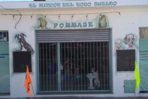 El Rincón Del Todo Suelto