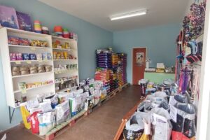 Entre perros y gatos