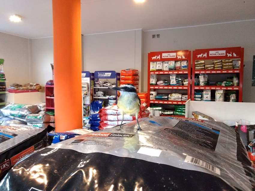 Esopo Veterinarias Suc Bv Lehmann