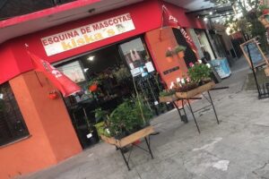 Esquina de Mascotas Kiskas