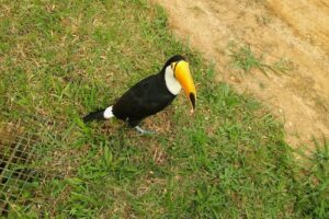 Estacion De Piscicultura