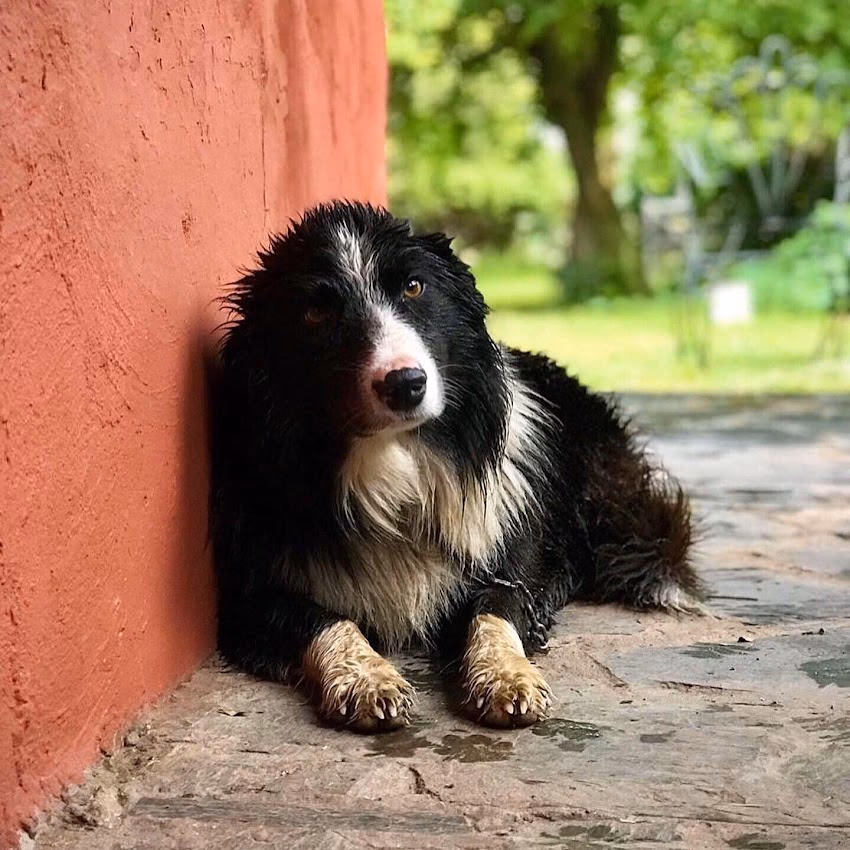 Estancia Arroyo de Luna