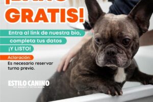 Estilo Canino Salta