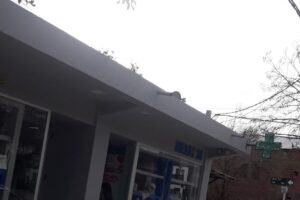 Farmacia Y Perfumeria Nehuen