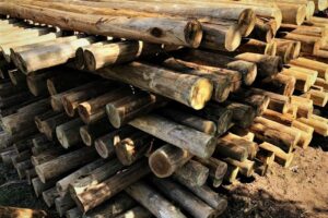 Fattorini Servicios Agropecuarios