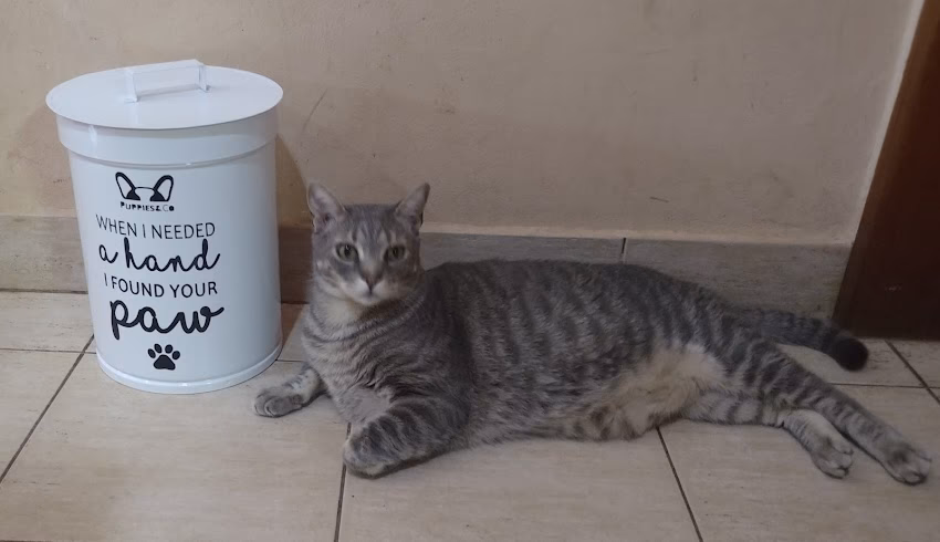 Fauna almacén de mascotas