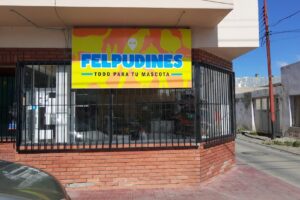 Felpudines