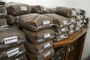 Fenican Petshop Caballito