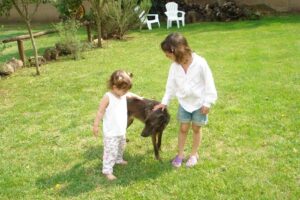 Flora Y Fauna Vivero Veterinaria y Pet Shop