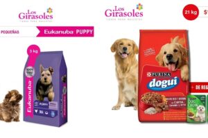 Forra jeria los Girasoles