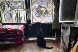 Forraj y tienda de mascotas Pura Garra