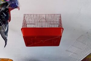 Forraje Don Paco Medanos