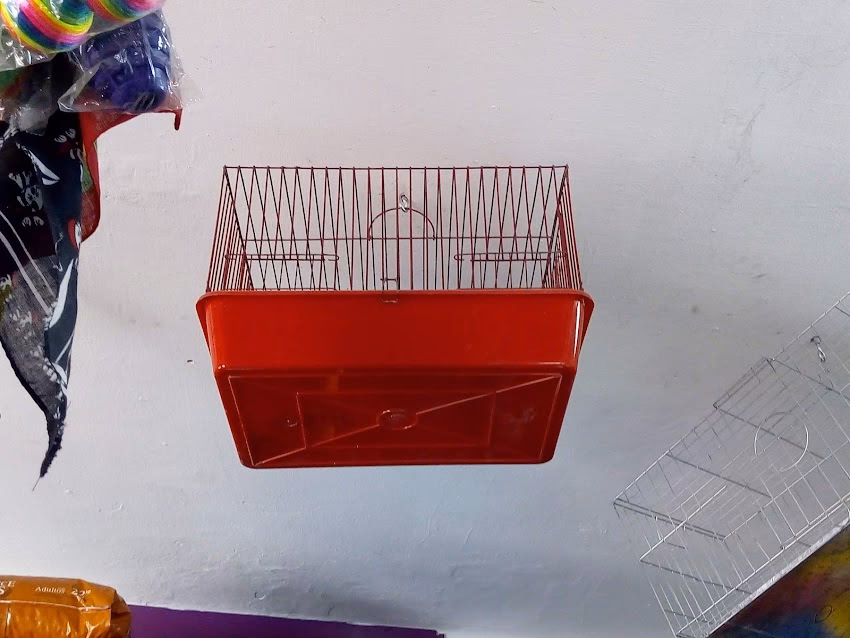 Forraje Don Paco Medanos