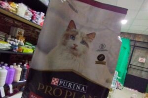 Forraje Mascoteria El Ceibo