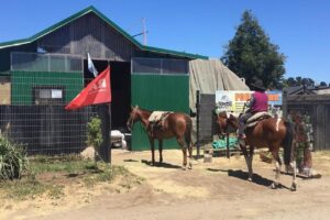 Forrajera Barraca Dina Huapi