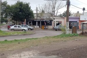 Forrajera La yegua y el gato negro