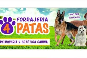 Forrajería 4 Patas Pets Shop