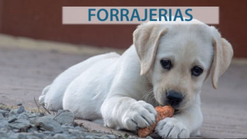 Forrajeria Cereales Talabartería