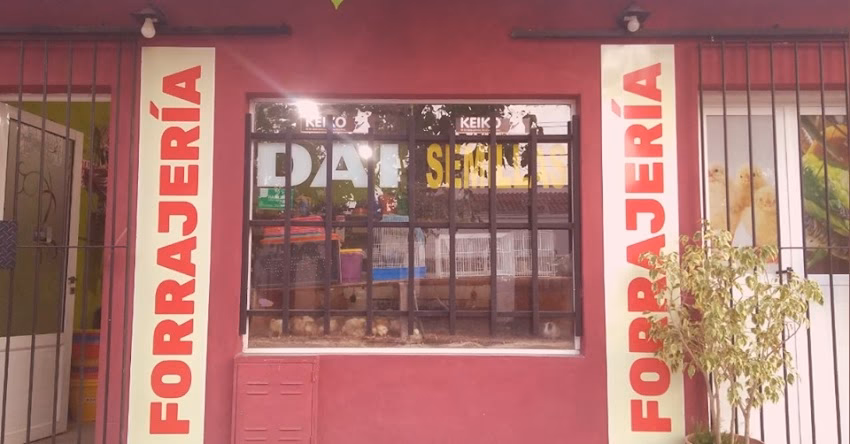 Forrajeria Dai Semillas