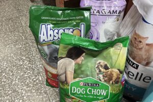 Forrajeria El Artista