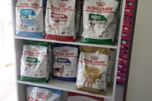 Forrajeria El Galpón El Galpón Piscinas