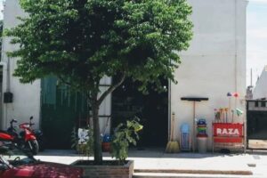 Forrajeria El Gauchito